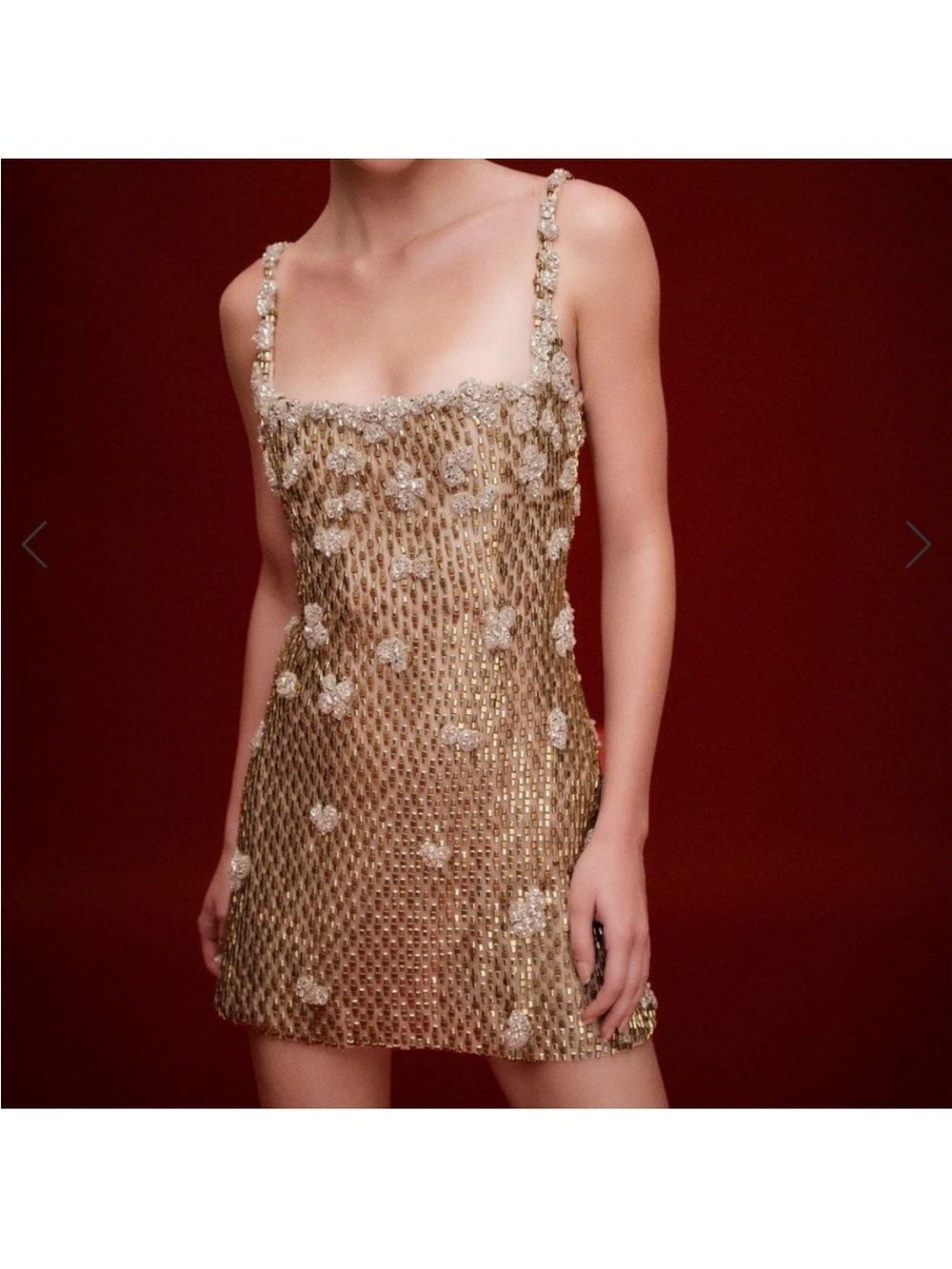 Rachel Gilbert Gold Embellished Floral-Accented Mini Dress